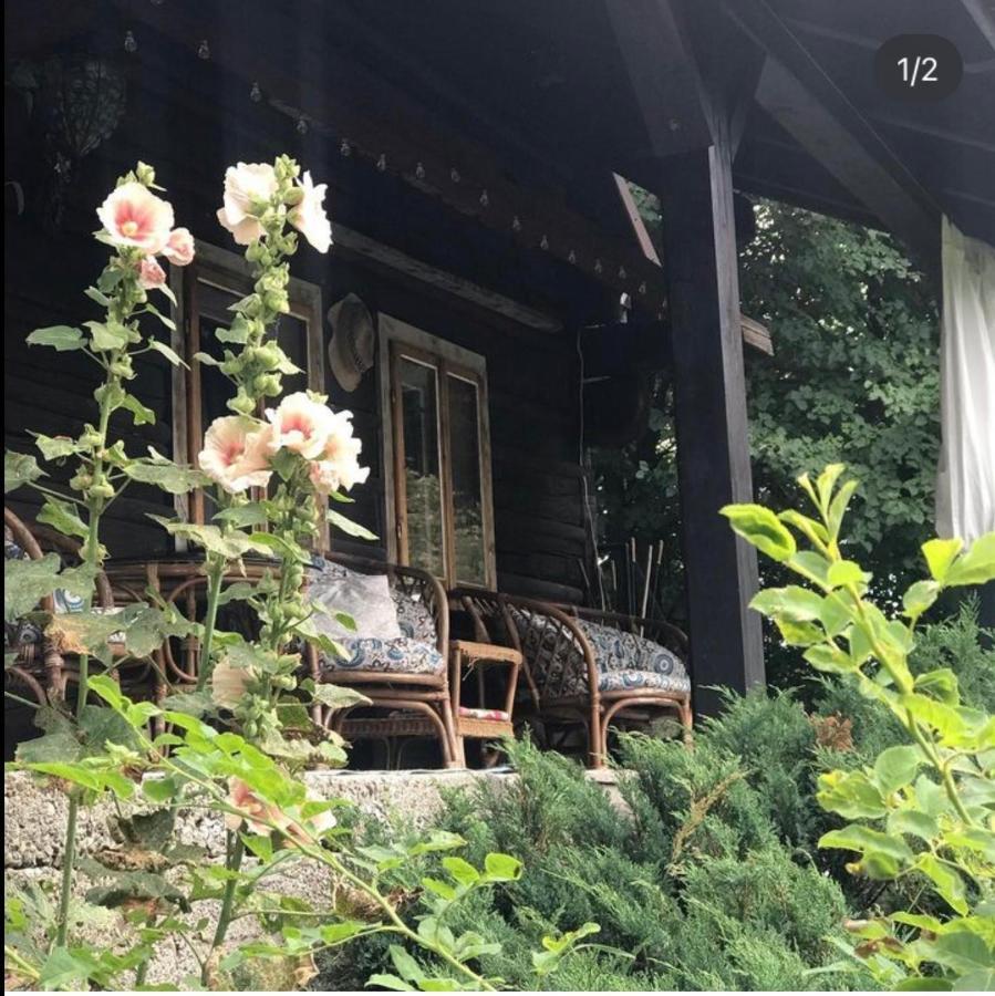 7 Holiday home